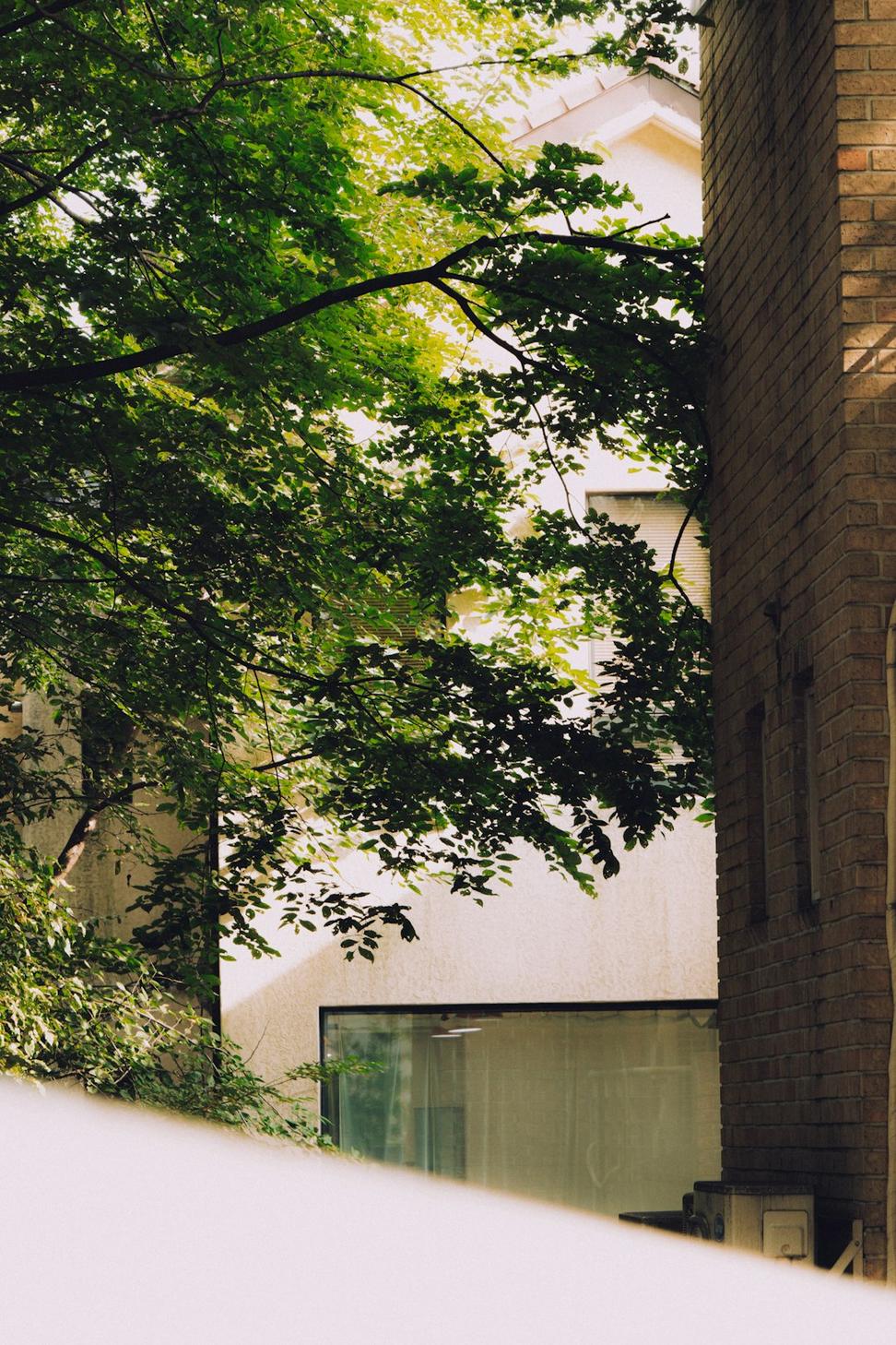 Green Townhouse Development