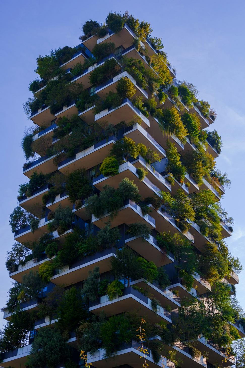 Eco-Friendly Family Home